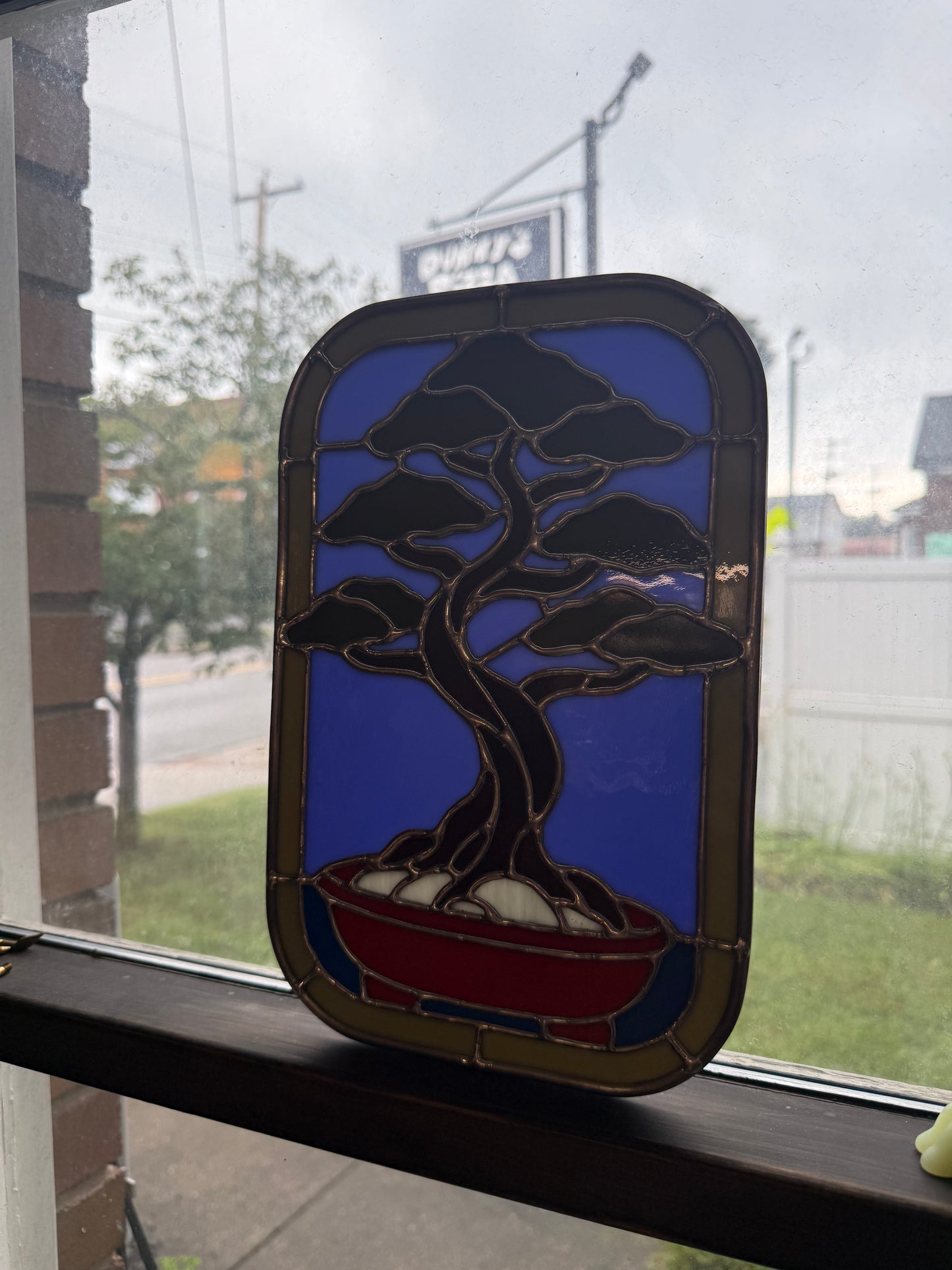 Bonsai Tree